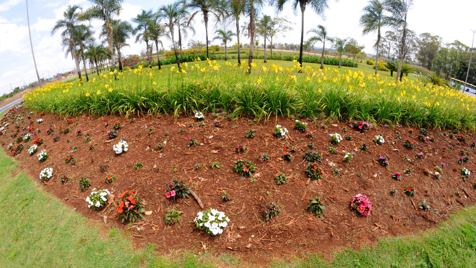 Foto: Paulo H Carvalho / Agência Brasília