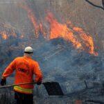 Foto: Divulgação/Brasília Ambiental