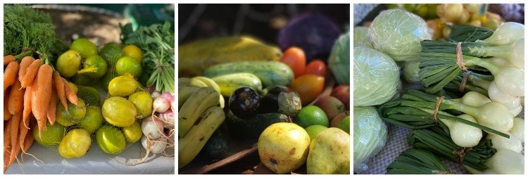 Nas feiras é possível, muitas vezes, adquirir o alimento direto do produtor com qualidade, variedade e melhor preço | Foto: Divulgação/Emater-DF