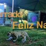 As fotografias do concurso Eu Amo Cerrado, promovido na Semana do Cerrado 2021, também poderão ser apreciadas pelos visitantes | Foto: Divulgação/Brasília Ambiental