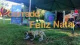 As fotografias do concurso Eu Amo Cerrado, promovido na Semana do Cerrado 2021, também poderão ser apreciadas pelos visitantes | Foto: Divulgação/Brasília Ambiental