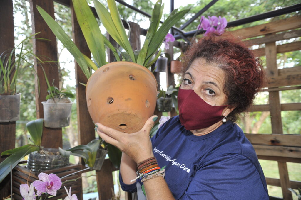 Mira Dias faz parte do grupo Voluntários do Parque de Águas Claras, que cuida semanalmente das plantas e flores do viveiro do local: “É extremamente importante que a população tenha uma participação mais efetiva para contribuir com a eliminação do problema”