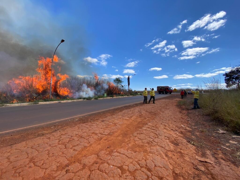 Em temporada de incêndios, aceiros são uma medida eficiente | Foto: Divulgação/Brasília Ambiental