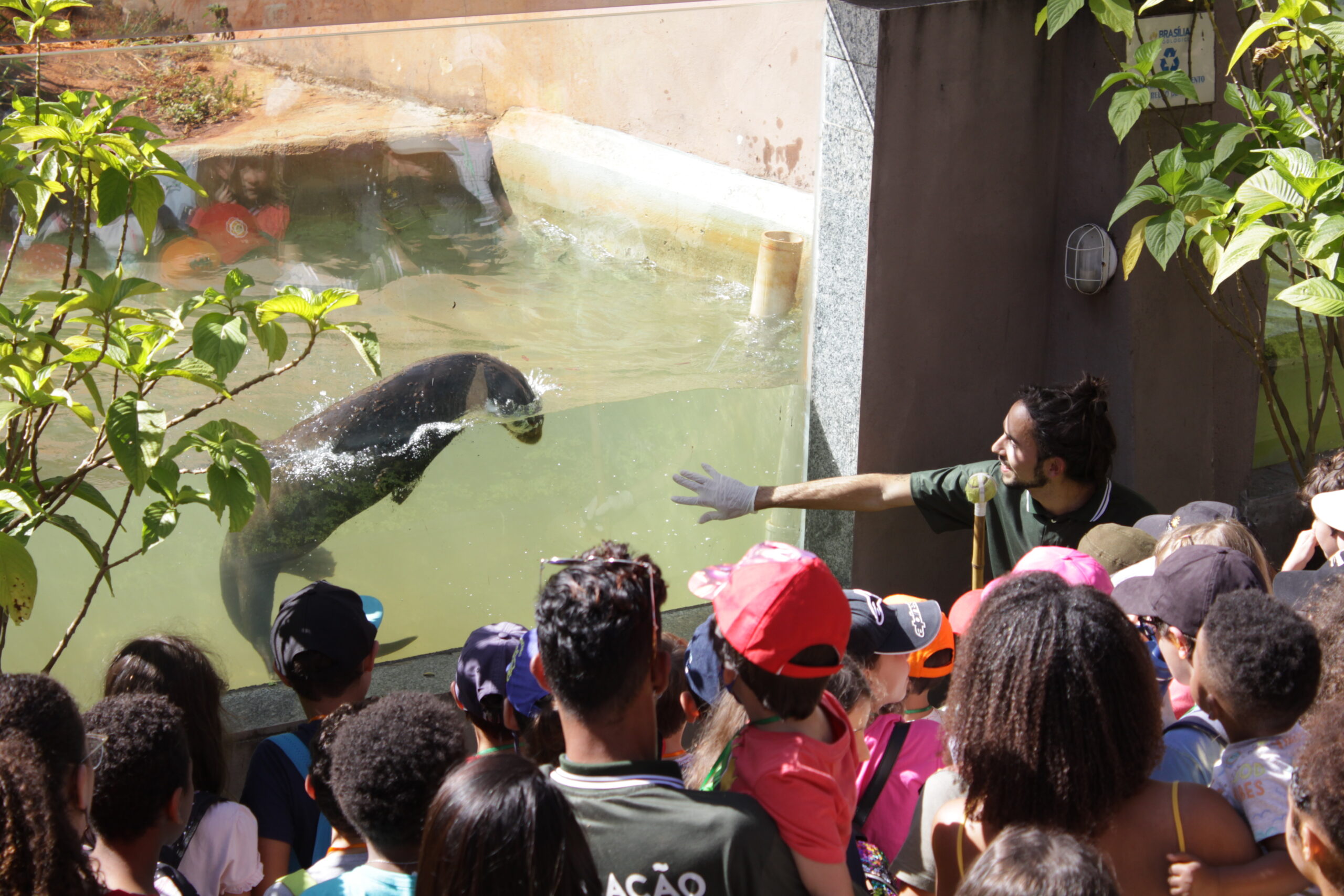Colônia de Feras do Zoo de Brasília oferece programação especial para crianças de 5 a 10 anos | Fotos: Tony Oliveira/Agência Brasília