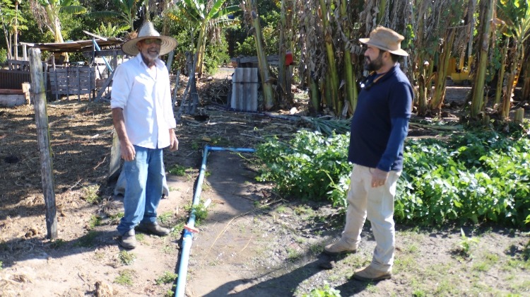 O extensionista Marcio Meirelles agora quer melhorar ainda mais o sistema de irrigação do produtor, aproveitando as condições naturais do terreno em favor da técnica