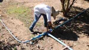 O agricultor Adão dos Santos passou a contar com um complexo de irrigação com base no declive do terreno em relação ao canal que banha a comunidade | Fotos: Divulgação / Emater-DF