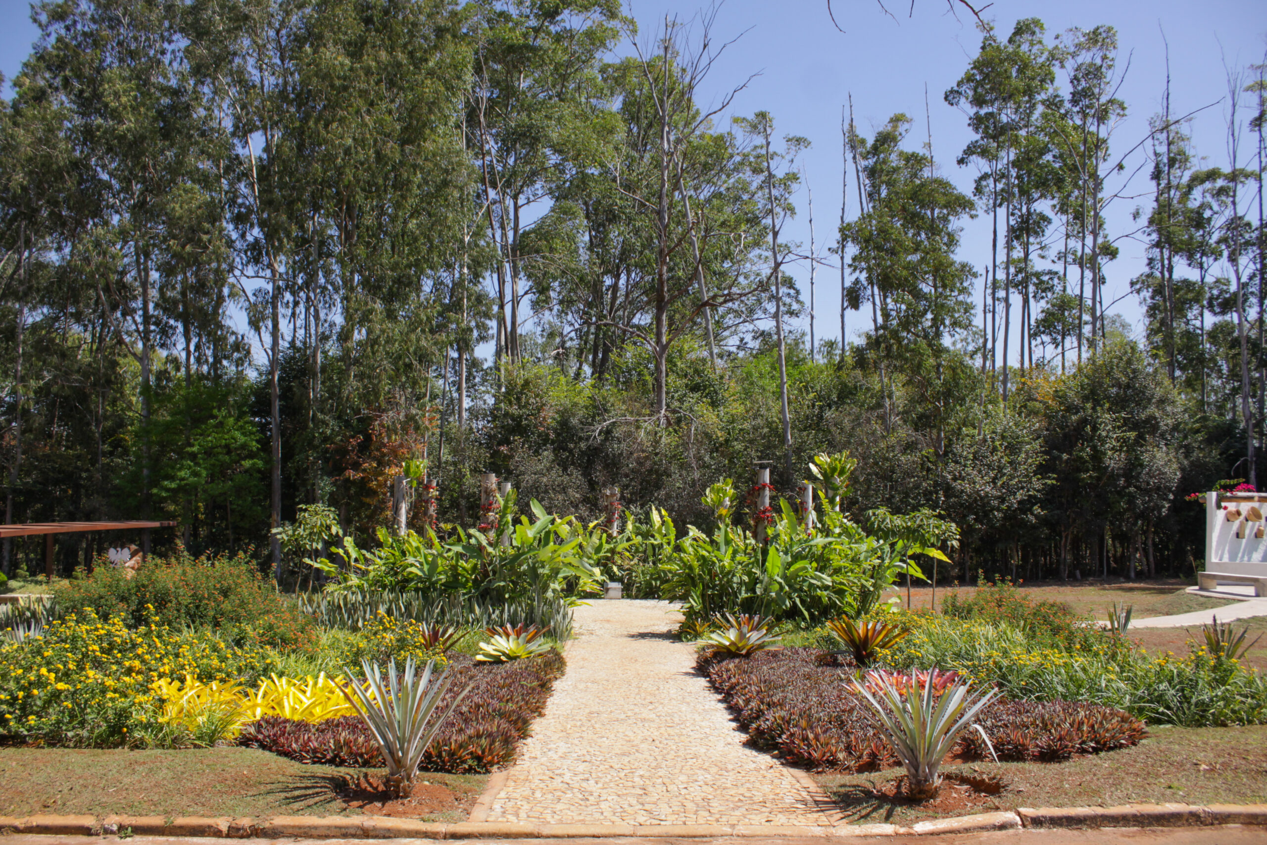 Jardim Botânico ganhou parques ornamentais com espécies típicas de outros países, simbolizando a união de culturas