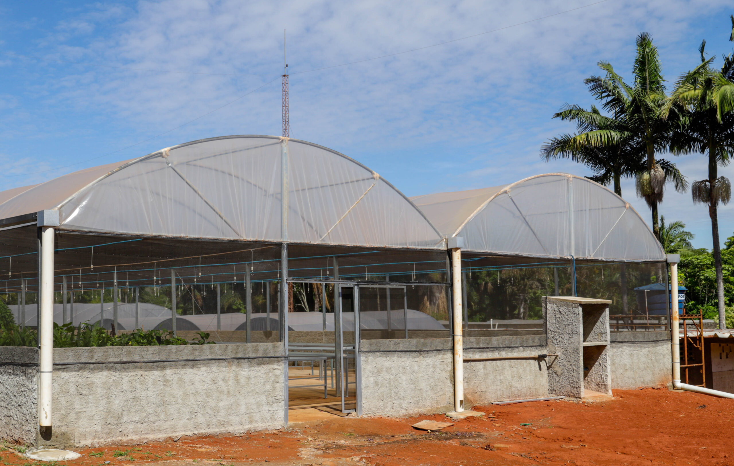 Os viveiros da Novacap contam com áreas de produção, preservação, salas administrativas, entre outras dependências
