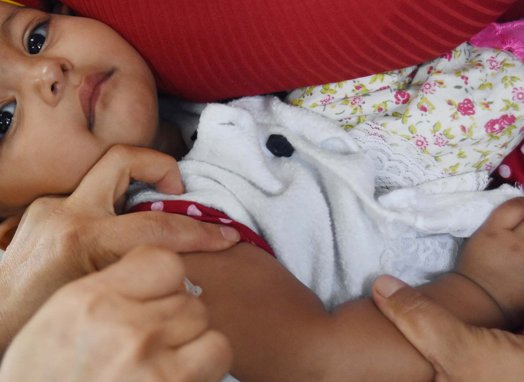 Mais de 2.700 crianças iniciaram o esquema vacinal, mas até o momento 440 receberam a segunda dose | Foto: Tony Winston/Secretaria de Saúde