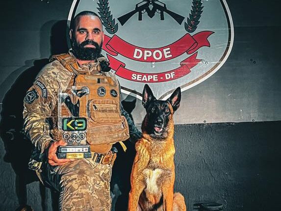 Polícia do DF é destaque em competição nacional de cães farejadores