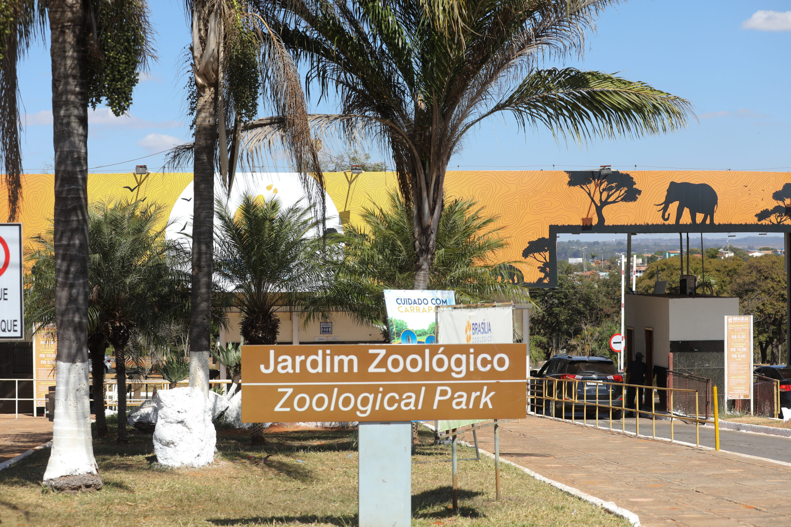 Zoológico de Brasília lança campanha para ajudar trabalhadores de zoos do RS