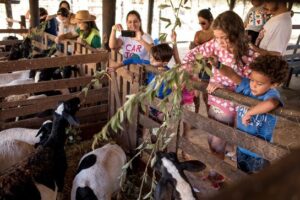 Famílias de acampamento em Brazlândia (DF) realizam ato para