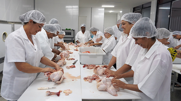 Produtores e trabalhadores rurais aprendem a desossar frango em curso