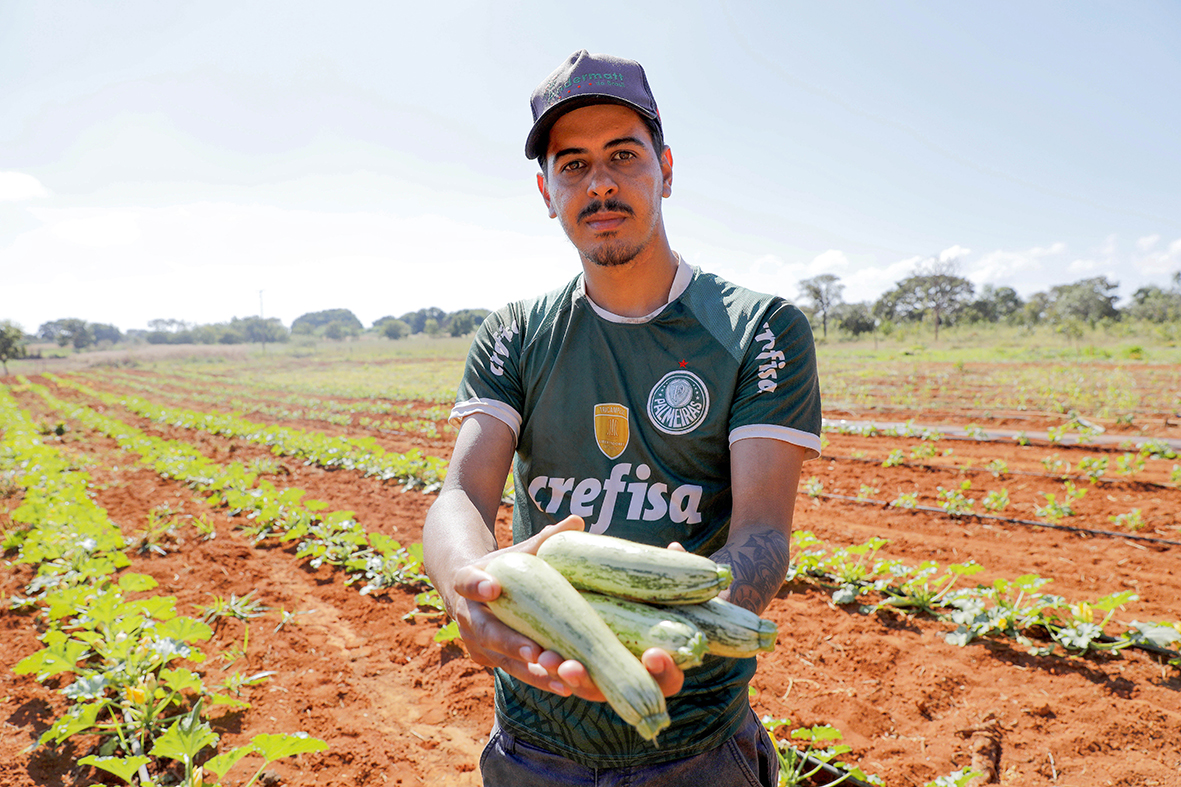 Agro do Quadrado: Técnica inovadora amplia capacidade de produção de hortaliças no DF