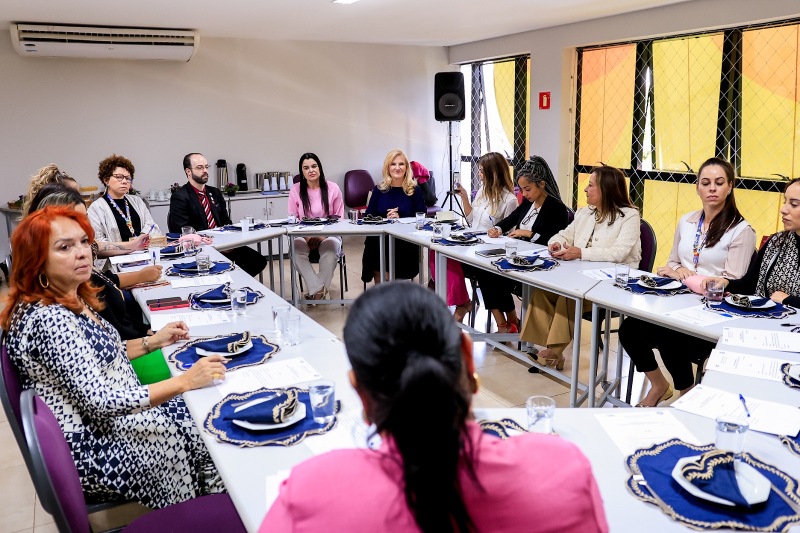 Reunião do Conselho dos Direitos da Mulher discute dignidade menstrual