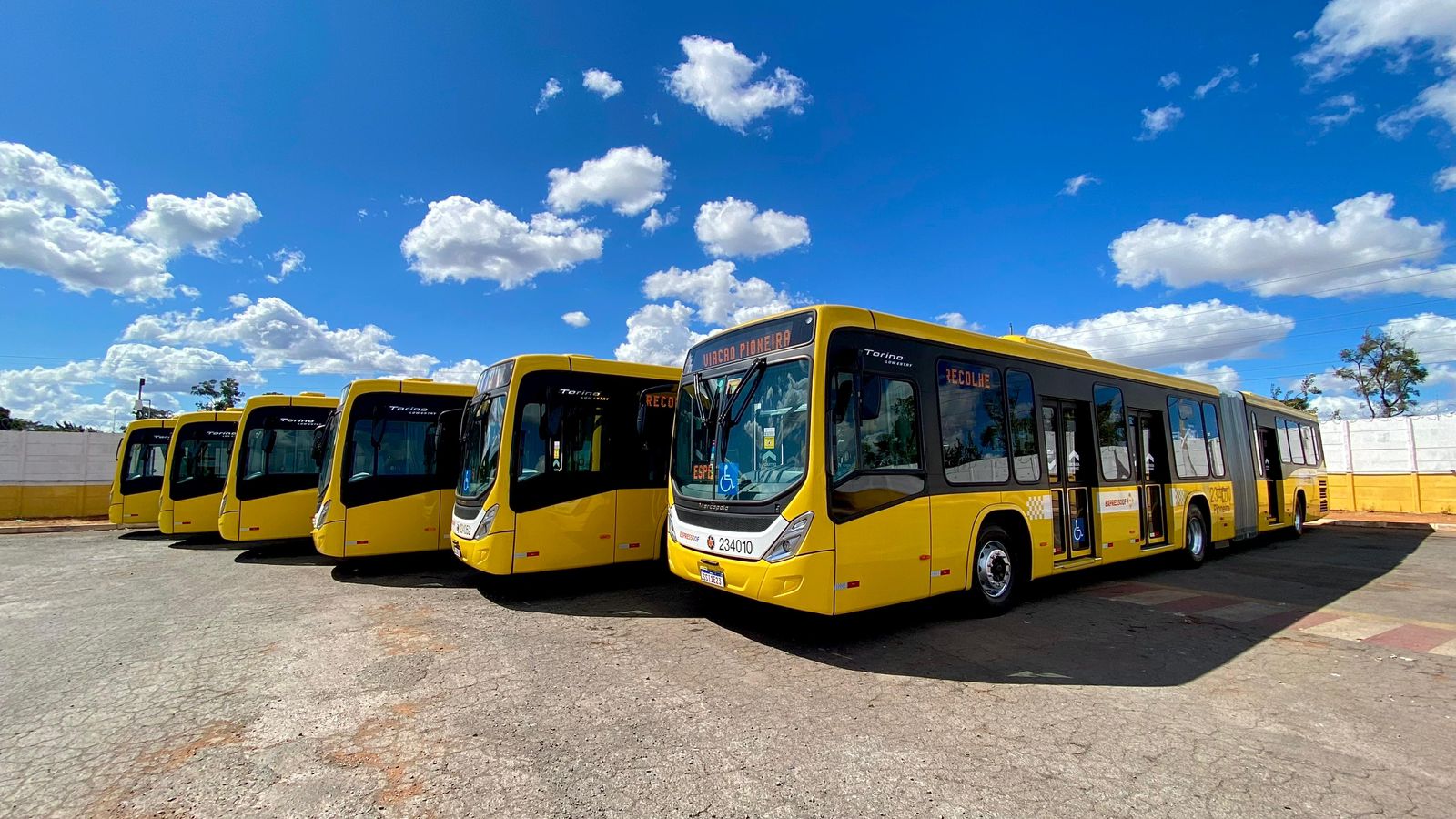 Frota do BRT Sul é renovada com dez novos ônibus articulados