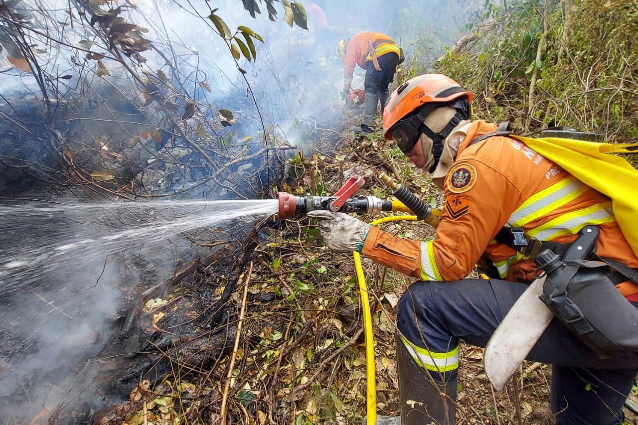 Bombeiros do DF completam duas semanas de combate aos incêndios florestais no Pantanal