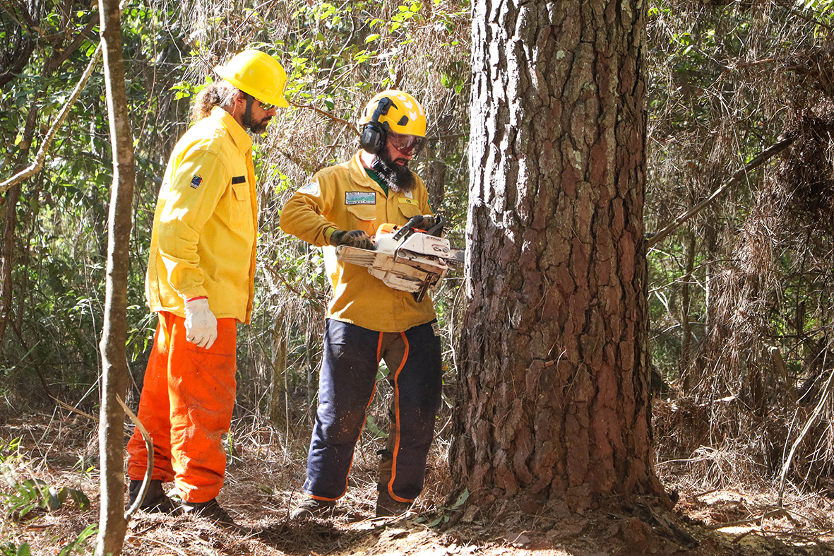 Brigadistas brasileiros e americanos trocam conhecimentos para combate a incêndios florestais
