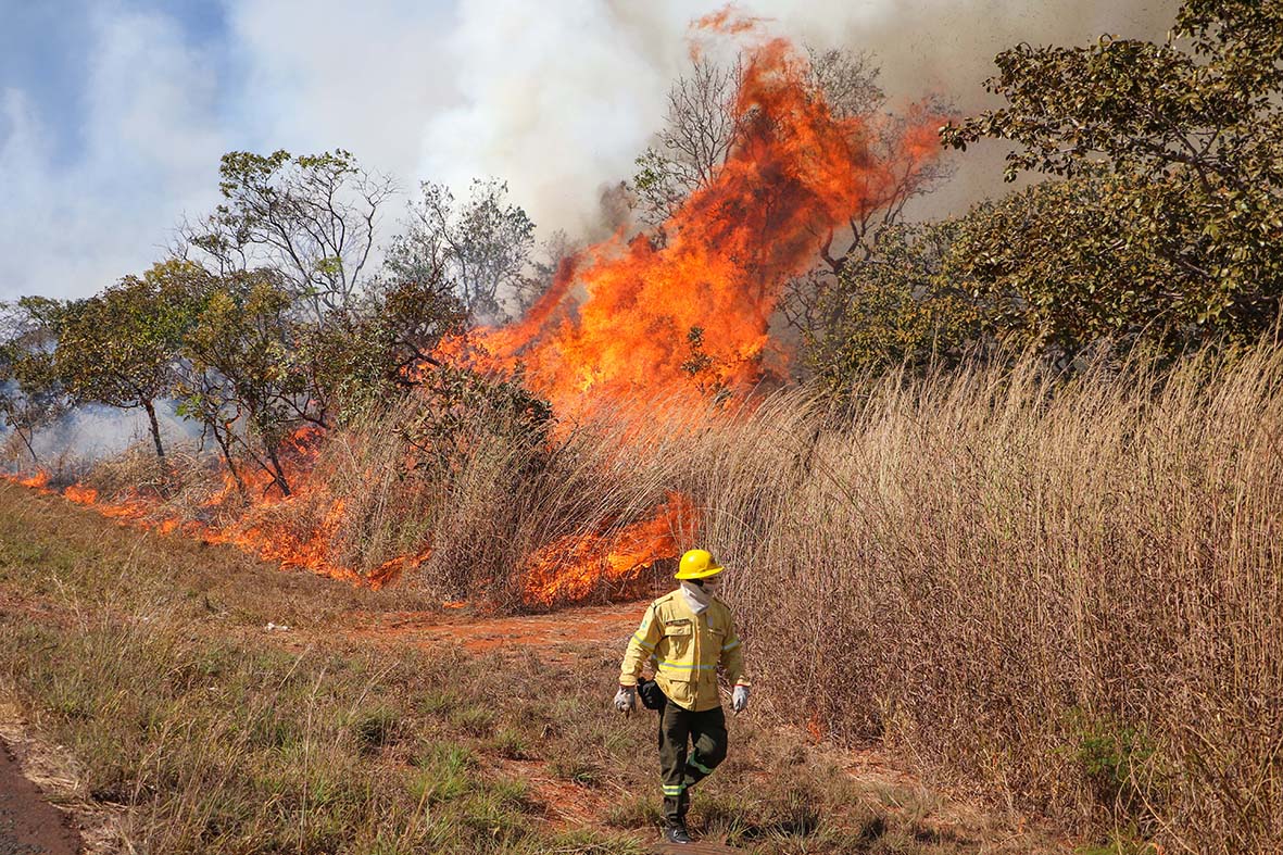 Uso de fogo controlado previne incêndios florestais em Águas Emendadas