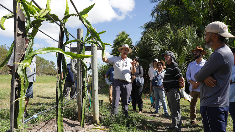 Semana do Produtor Rural revela diversidade agrícola do Paranoá