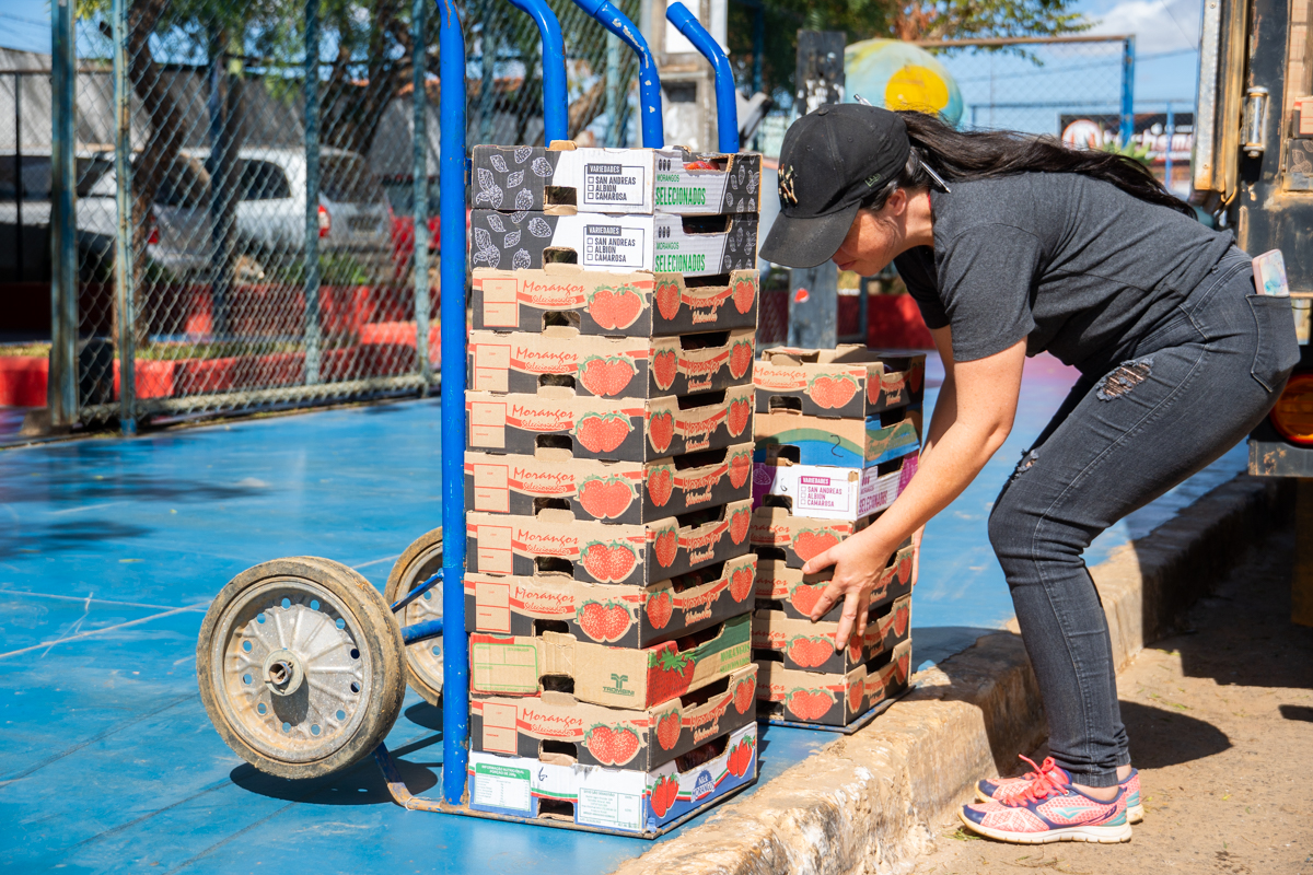 Escolas da rede pública de ensino recebem morango para merenda