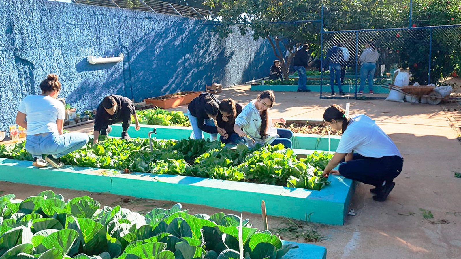 Colégio Cívico-Militar do Recanto das Emas une empreendedorismo e sustentabilidade