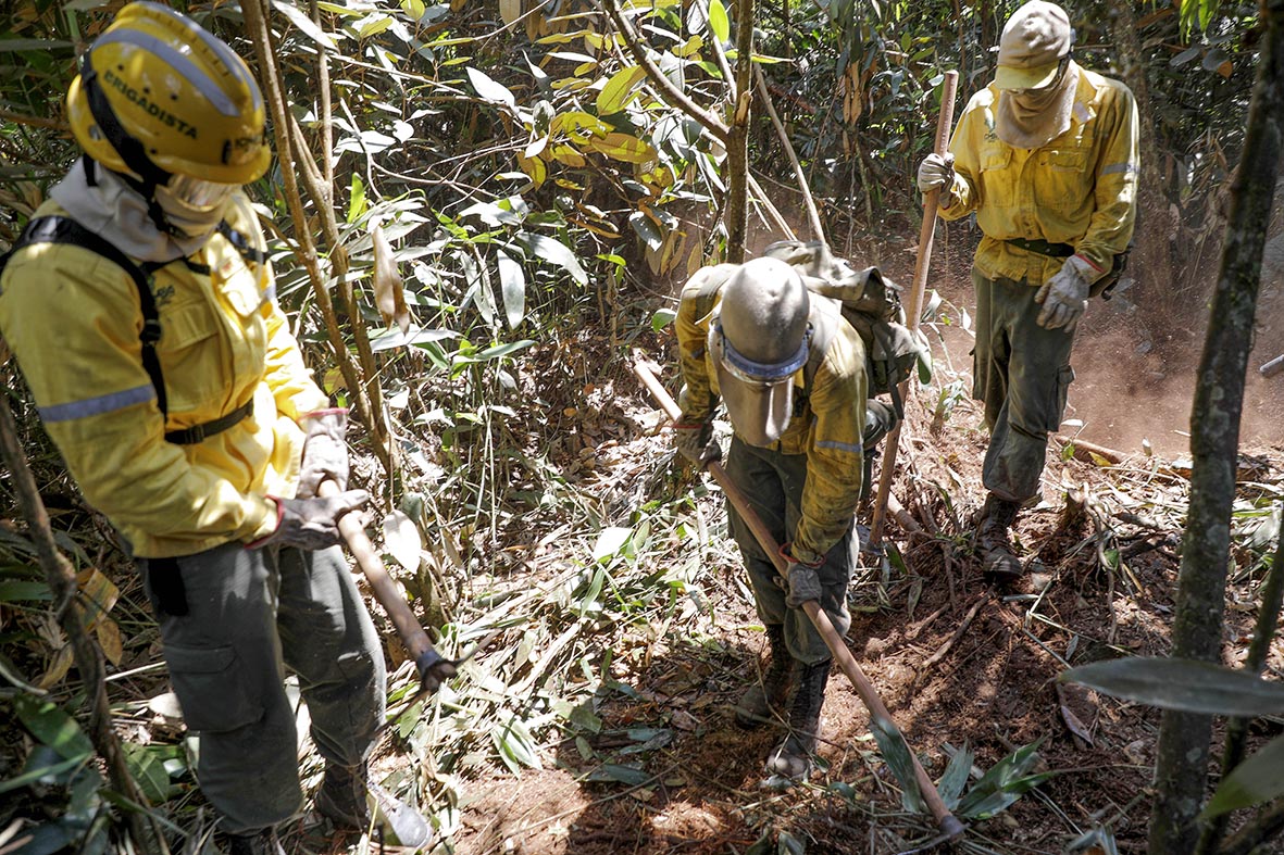 Com fogo no Parque Nacional controlado, bombeiros e brigadistas trabalham no resfriamento do solo