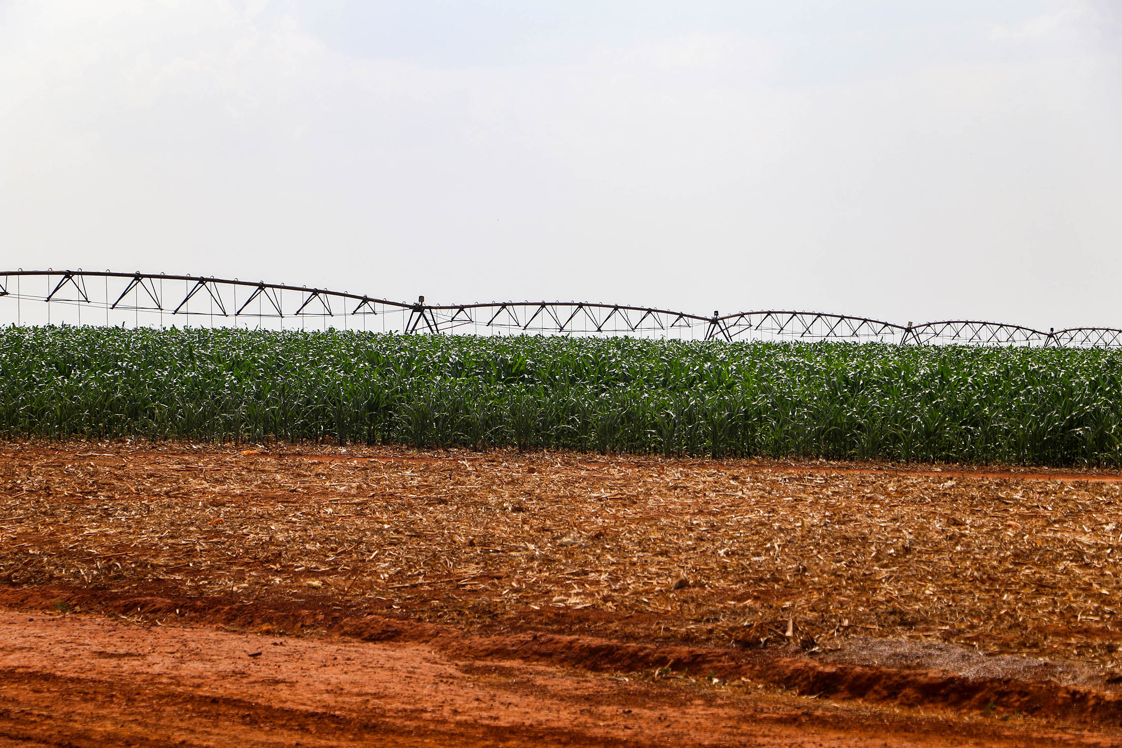 Agricultores do DF aumentam produtividade com fertilizante orgânico fornecido pela Caesb