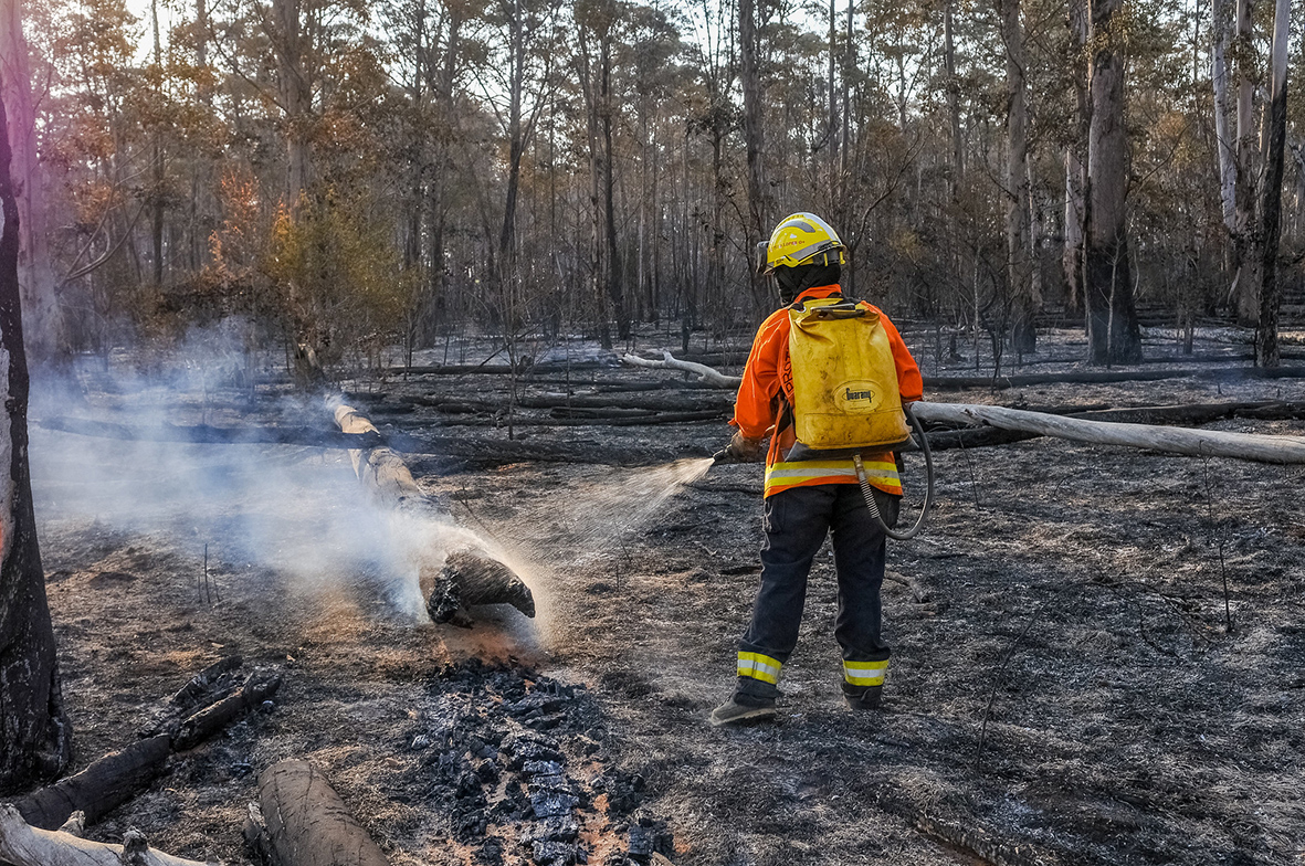 Em meio a seca histórica, bombeiros diversificam estratégias contra incêndios florestais