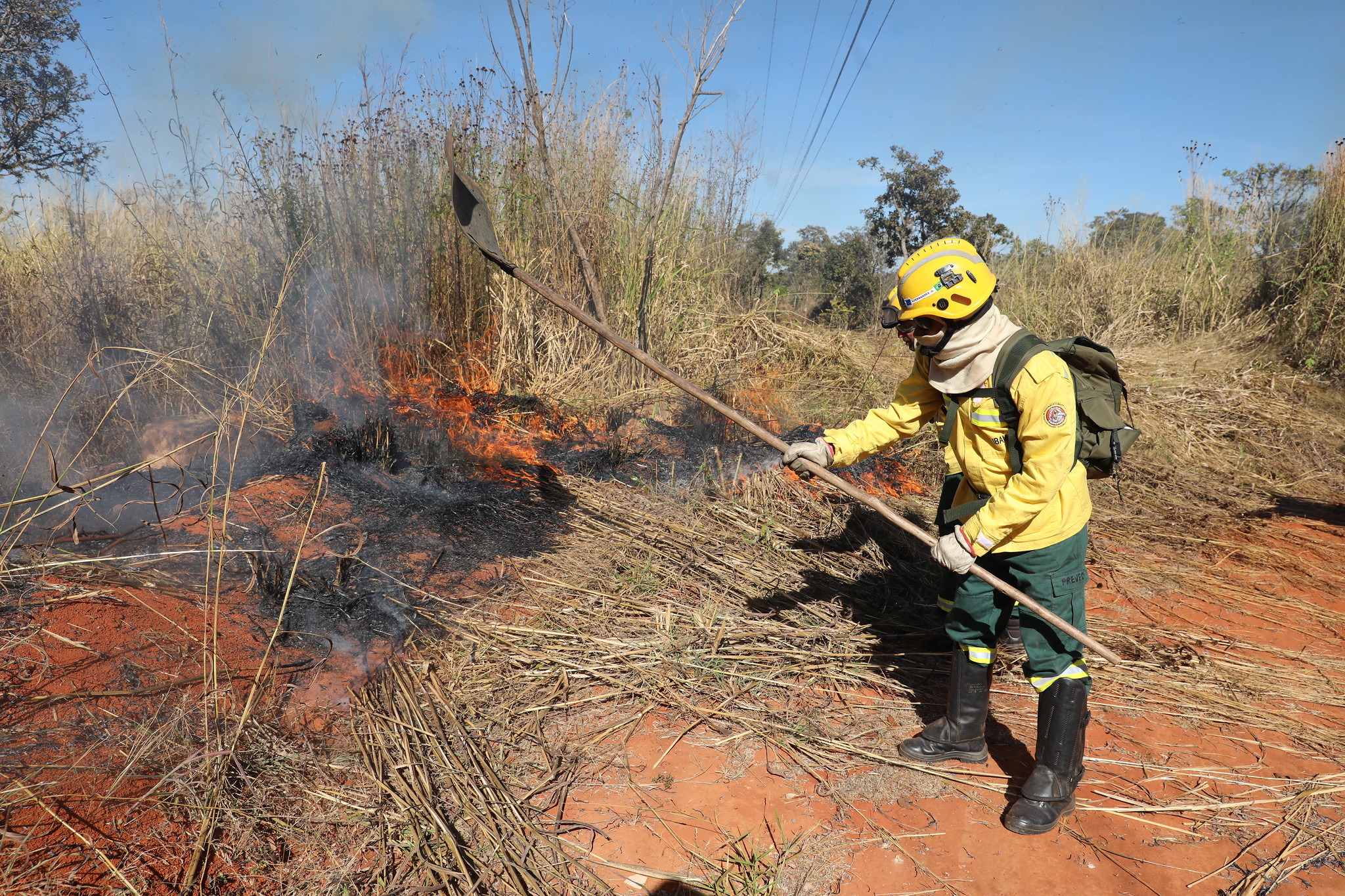 Saiba quais são os canais para denunciar incêndios florestais no DF