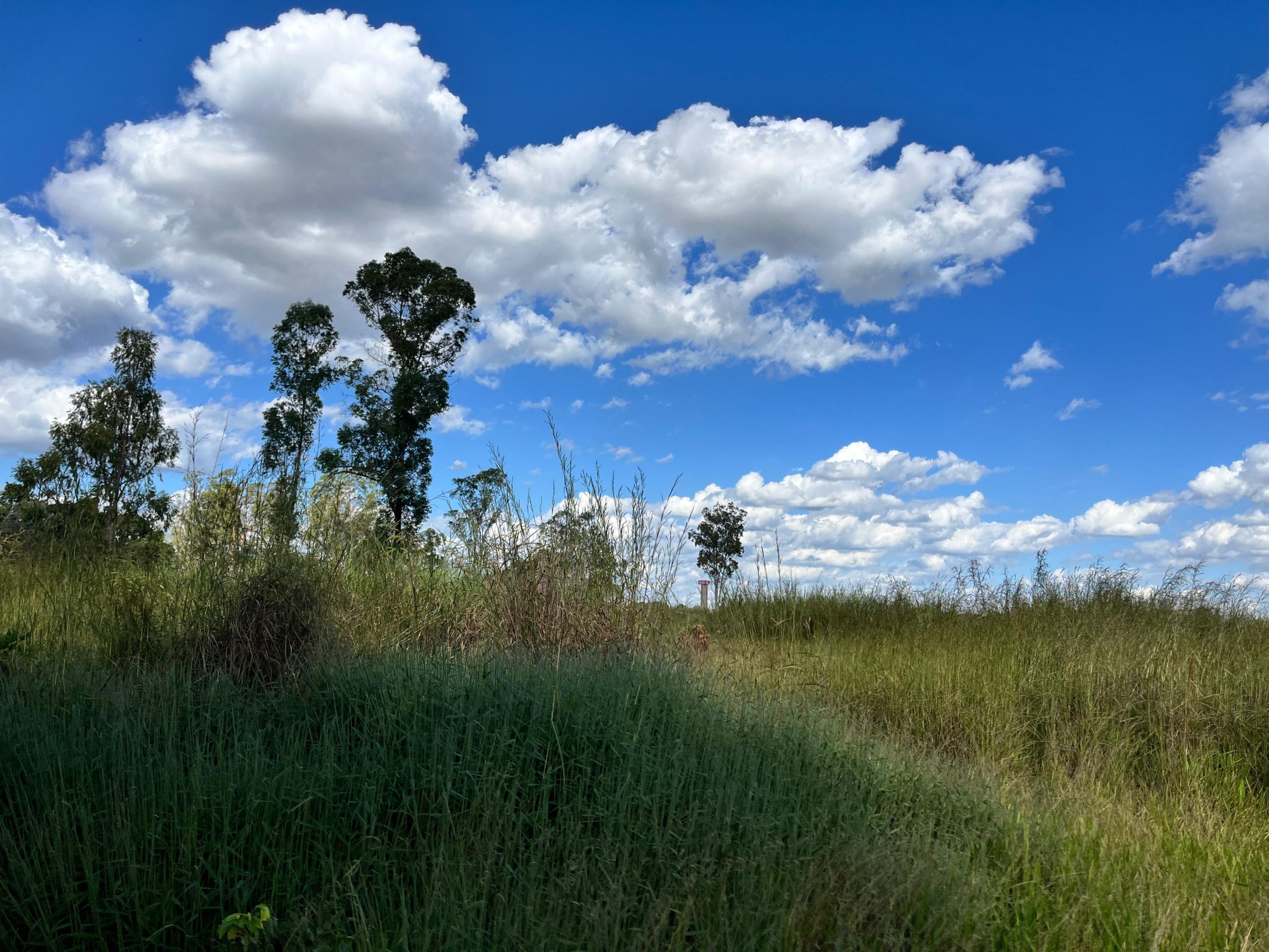 Decreto prorroga prazo para homologação das informações do Cadastro Ambiental Rural