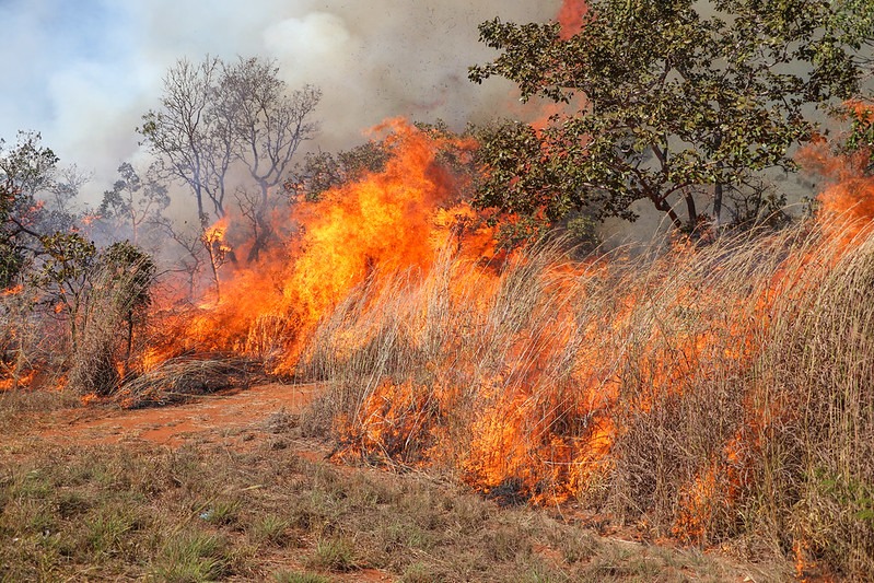 Força-tarefa vai investigar incêndios com indícios de crime no DF