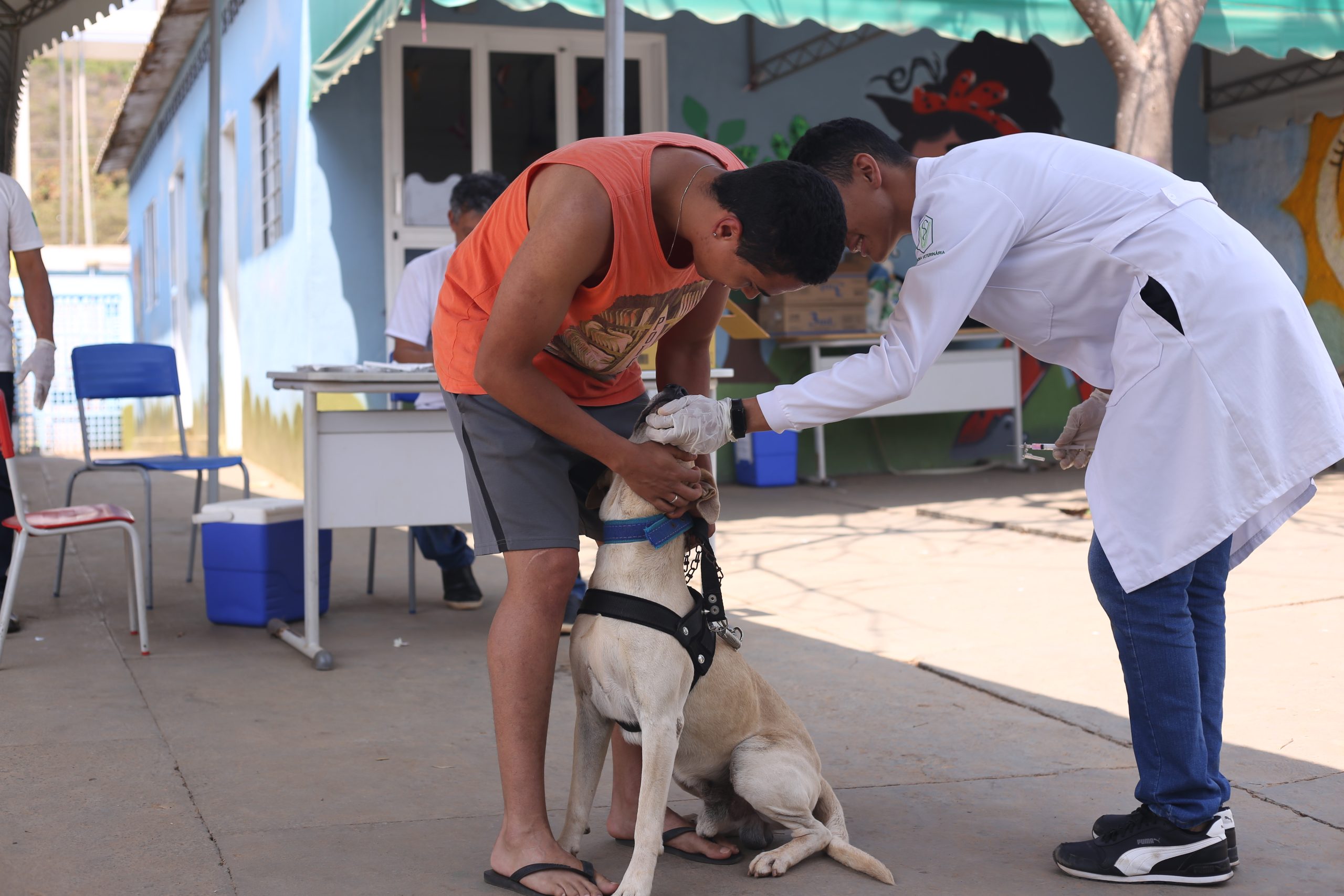 The animal rabies campaign has already administered more than 49,000 anti-rabies doses.