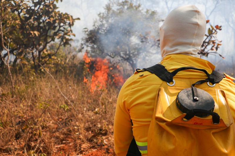 Semana do Cerrado: Ação educativa no Lago Oeste conscientiza 700 crianças sobre incêndios florestais