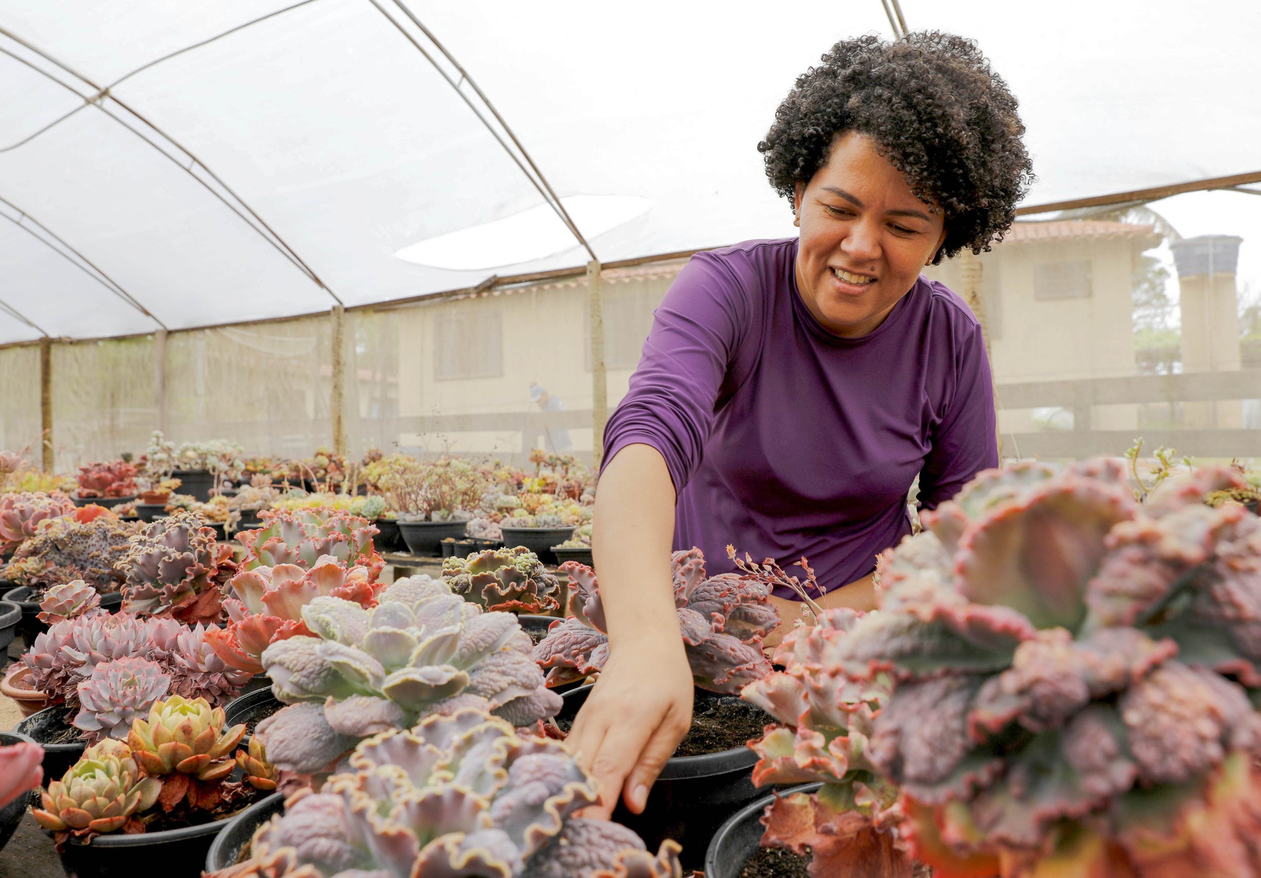 Mulheres que transformam o campo: A força feminina do agronegócio do Distrito Federal