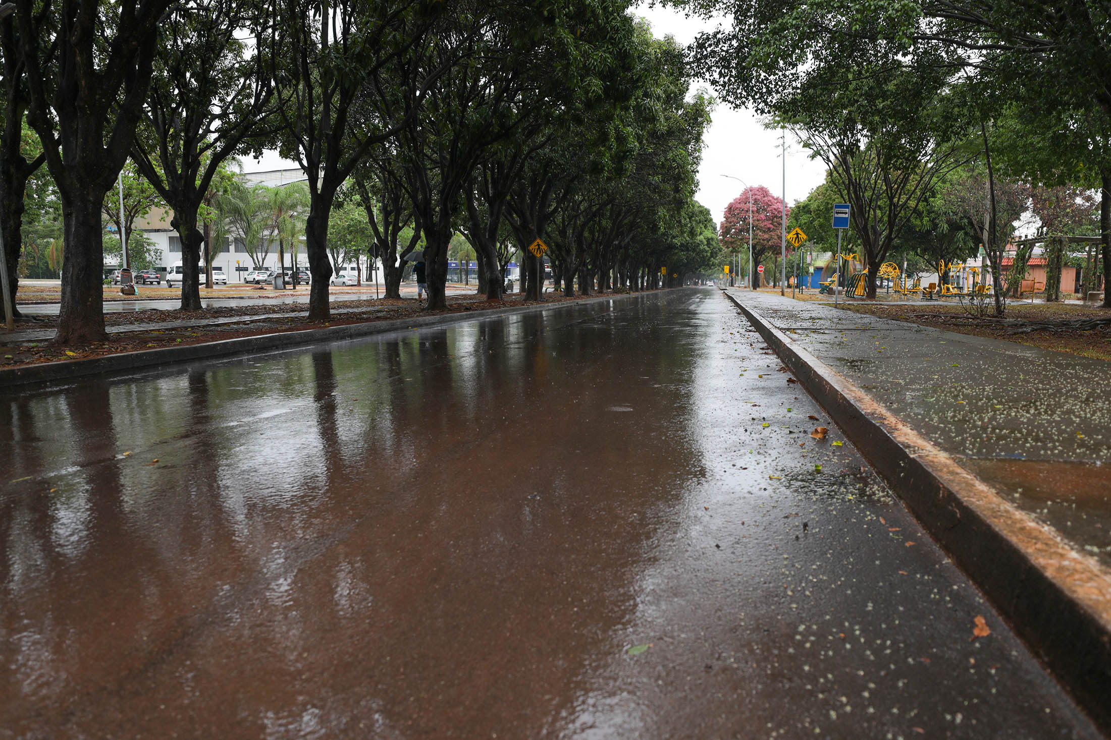 Avenida das Mangueiras, no Cruzeiro, é reformada com investimento de R$ 3,5 milhões