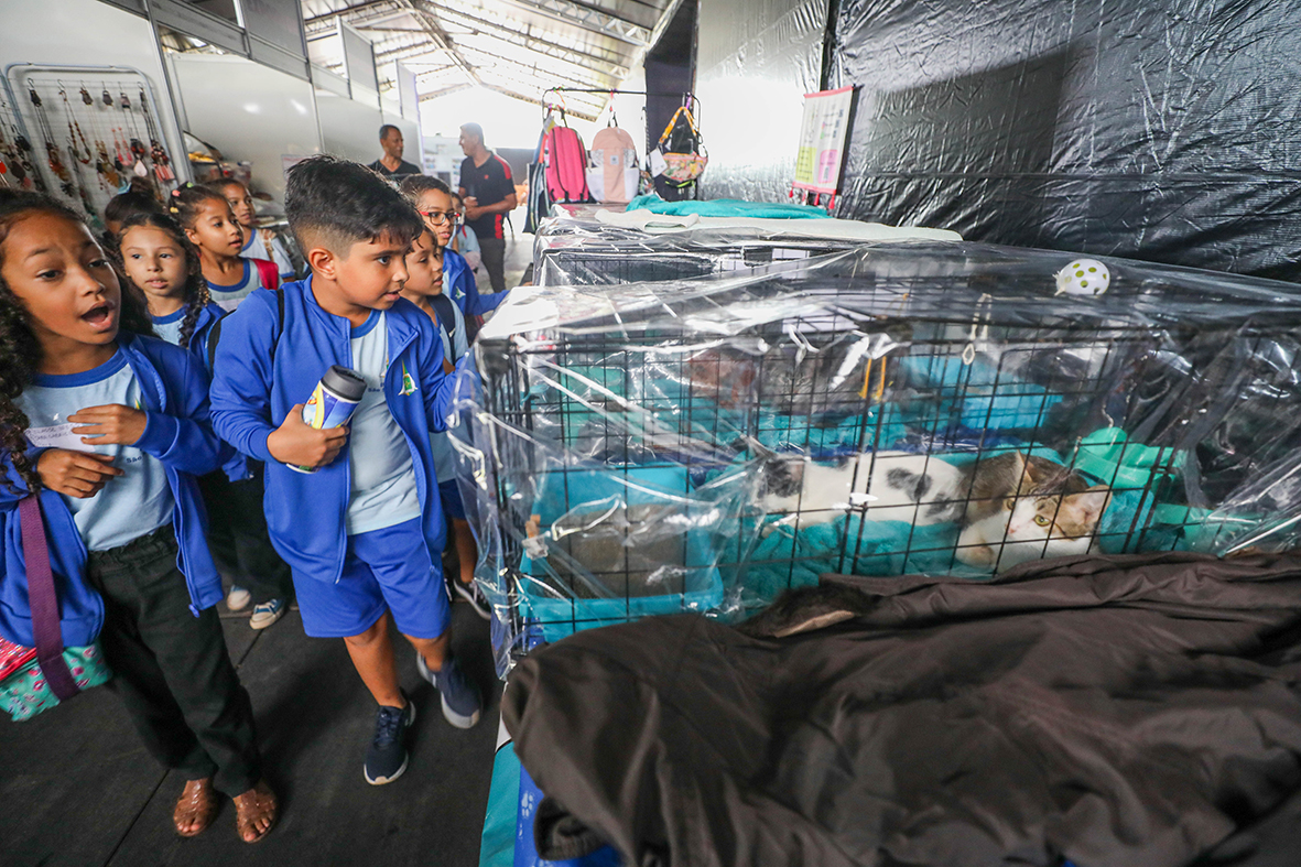 Estudantes da rede pública aprendem sobre cuidado com animais em feira pet, no Parque da Cidade