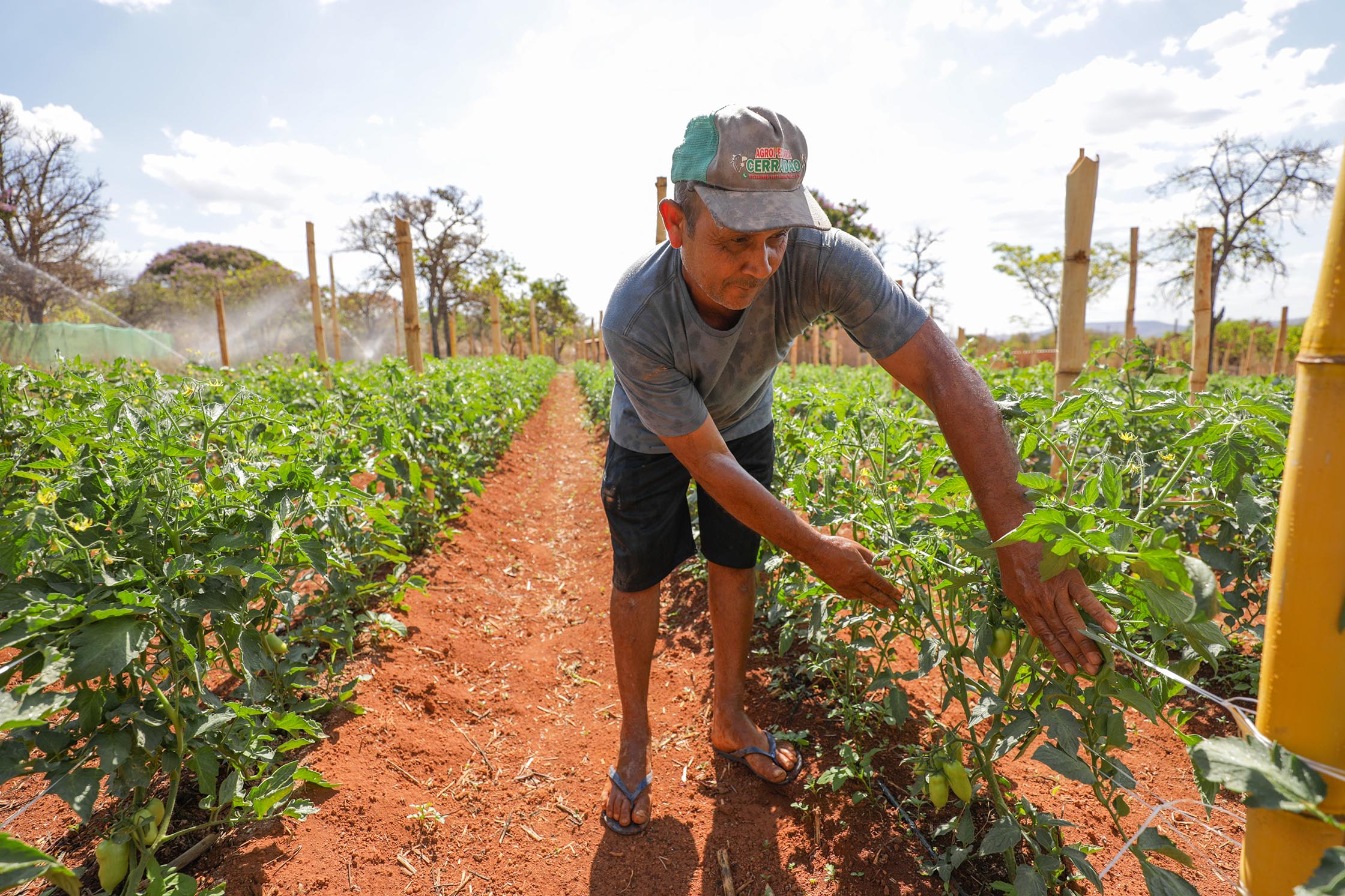 Decreto estabelece novos critérios para atuação do Conselho de Política de Assentamento Rural do DF