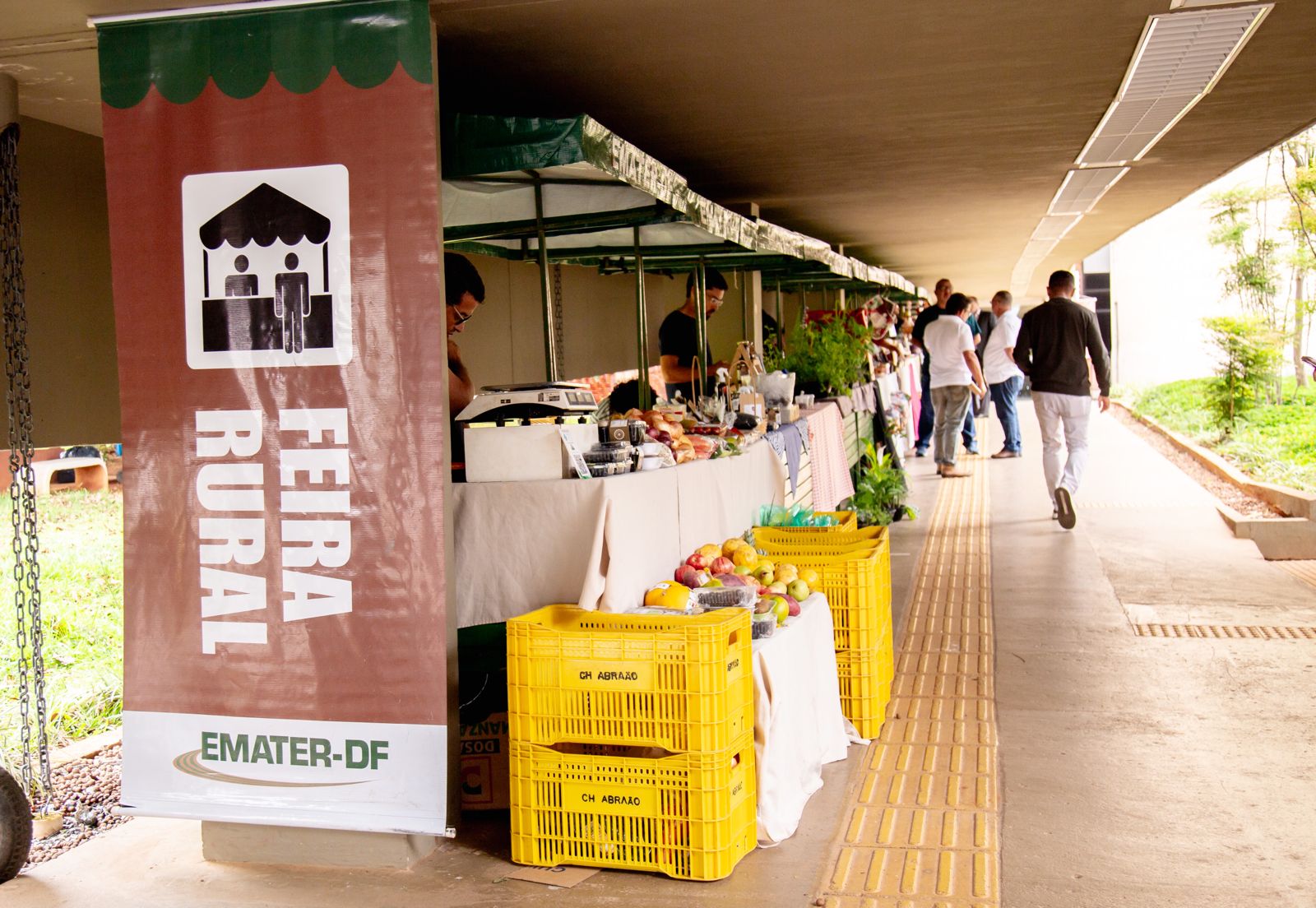 Primeira edição da Feira Rural no Palácio do Buriti atrai servidores na chegada ao trabalho