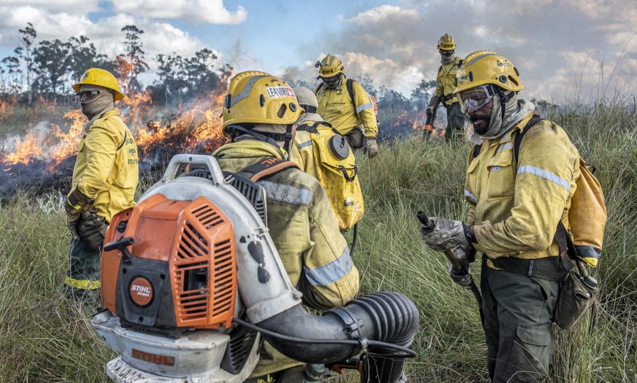 Fórum discute prevenção e combate a incêndios florestais