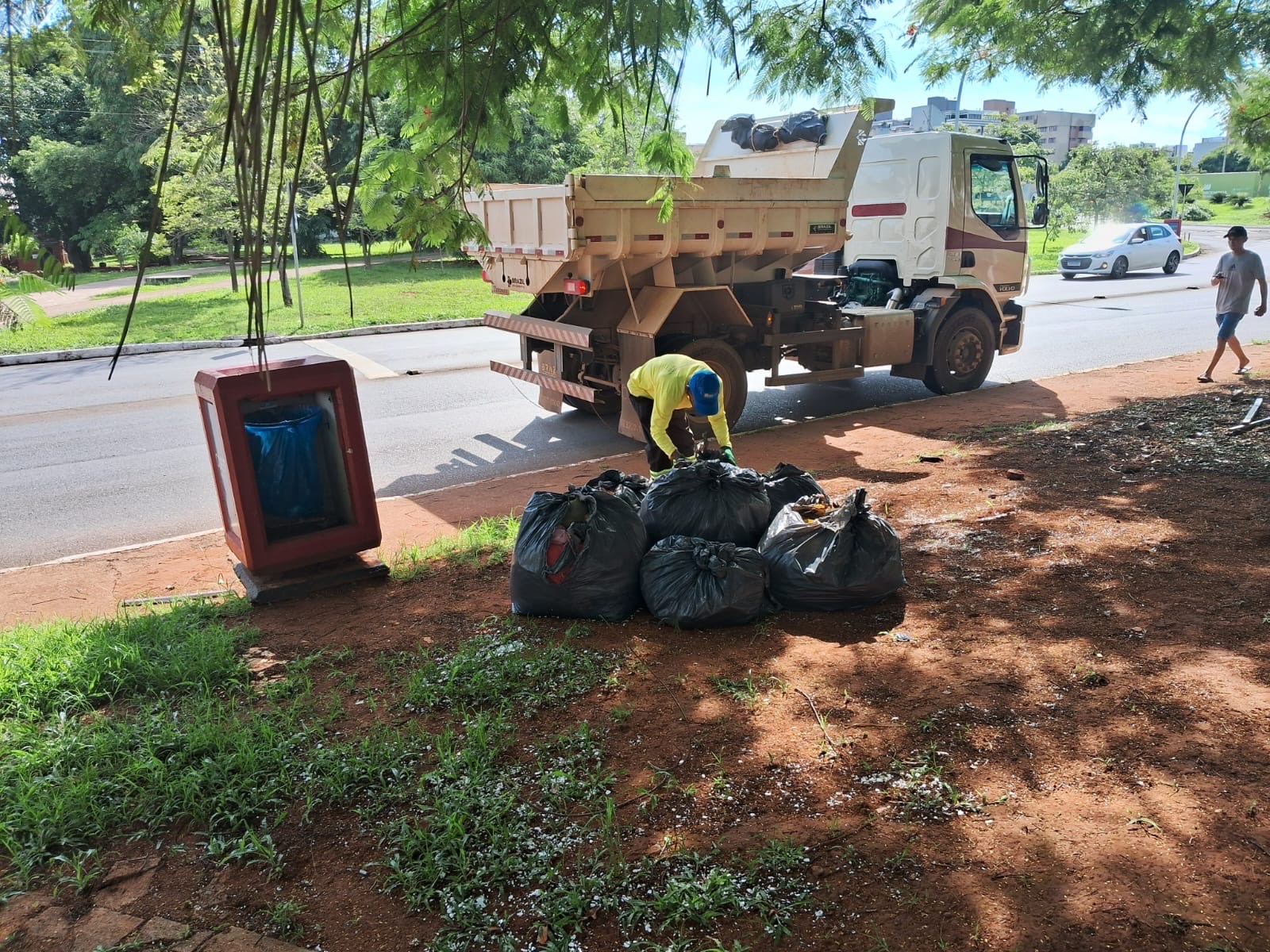 Mutirão promove retirada de lixo verde em quadras do Plano Piloto  