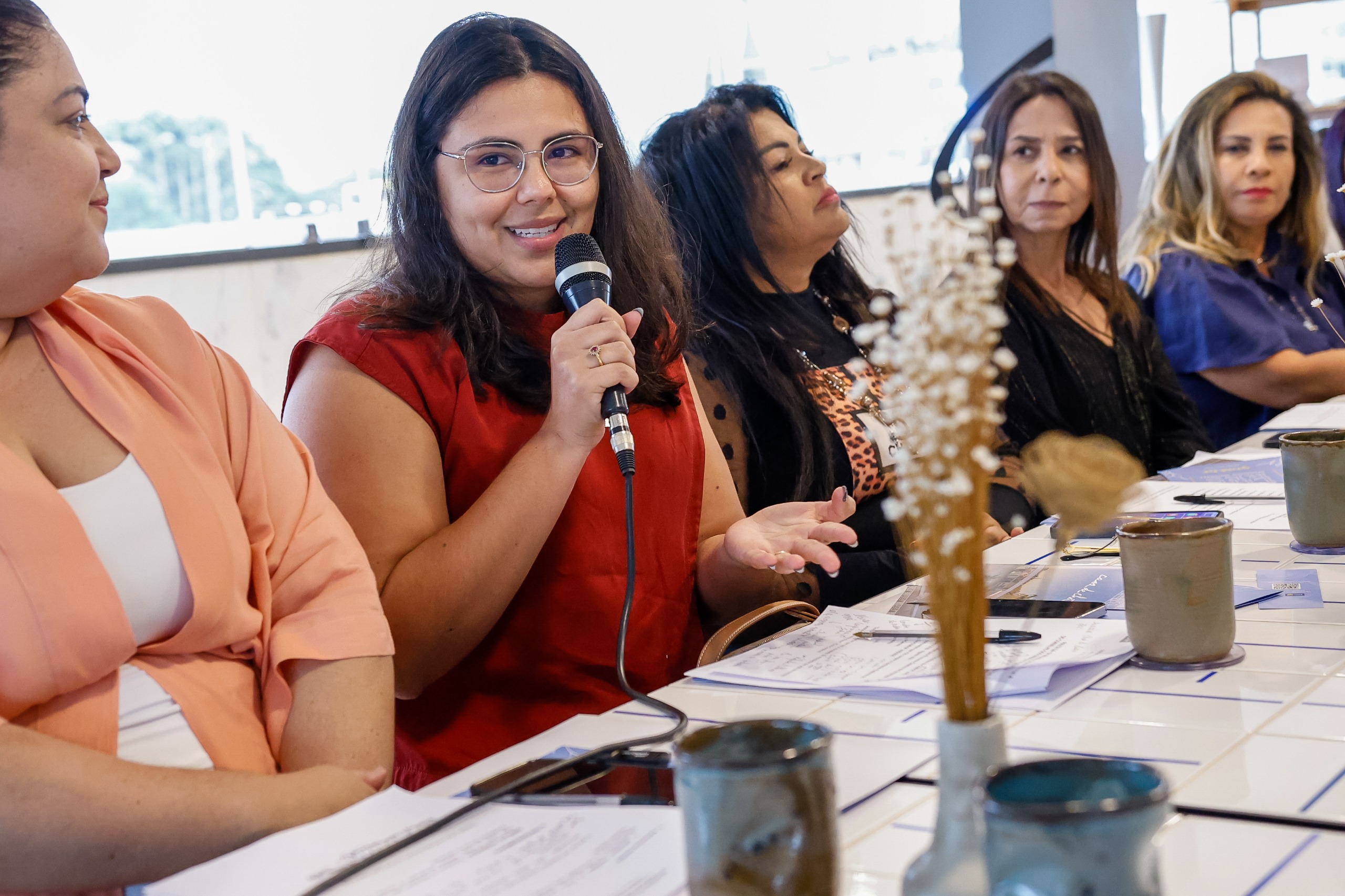 Conselho dos Direitos da Mulher define planejamento estratégico para 2025