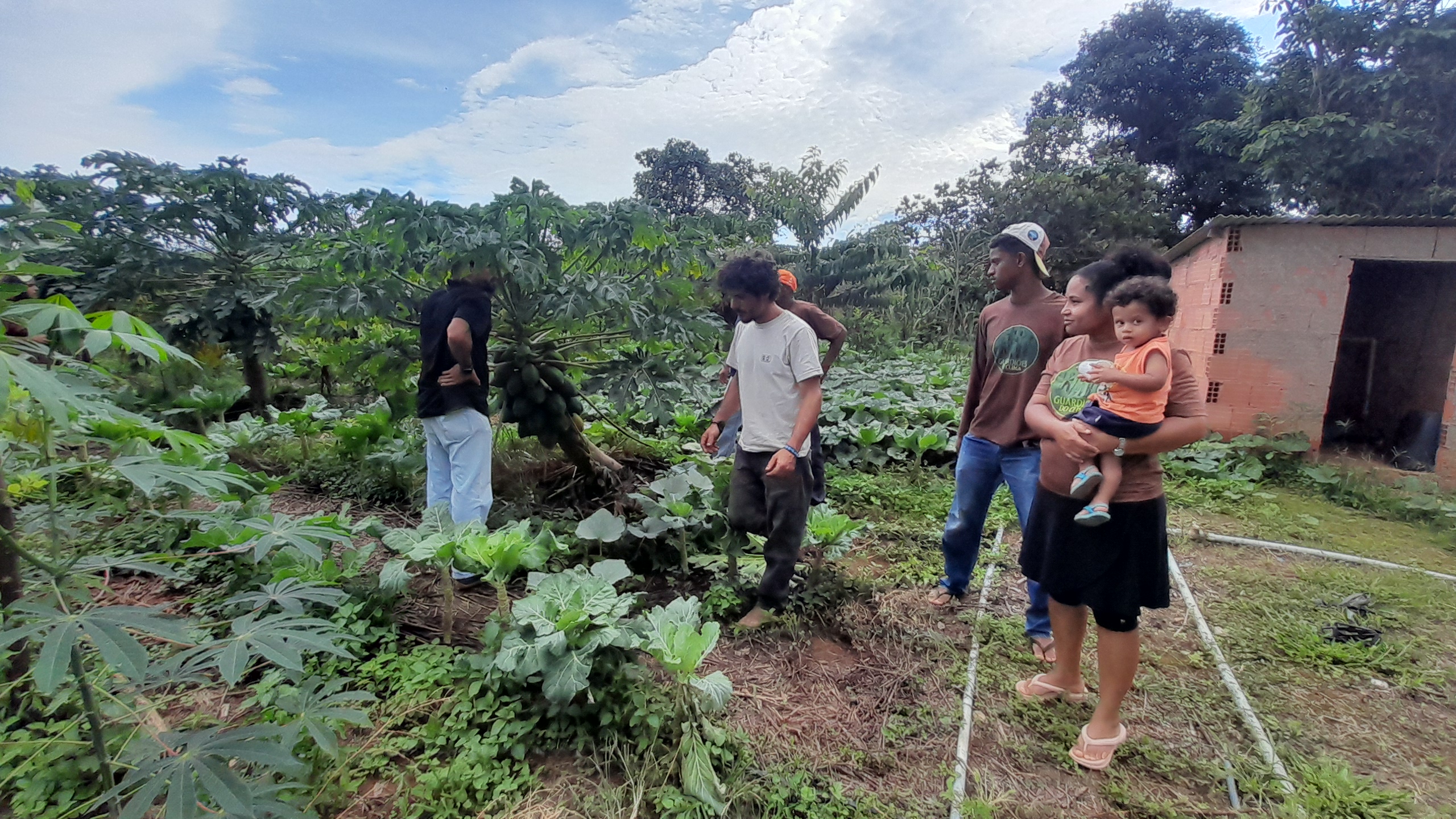 GDF entrega certificados a produtores orgânicos de assentamento no Paranoá