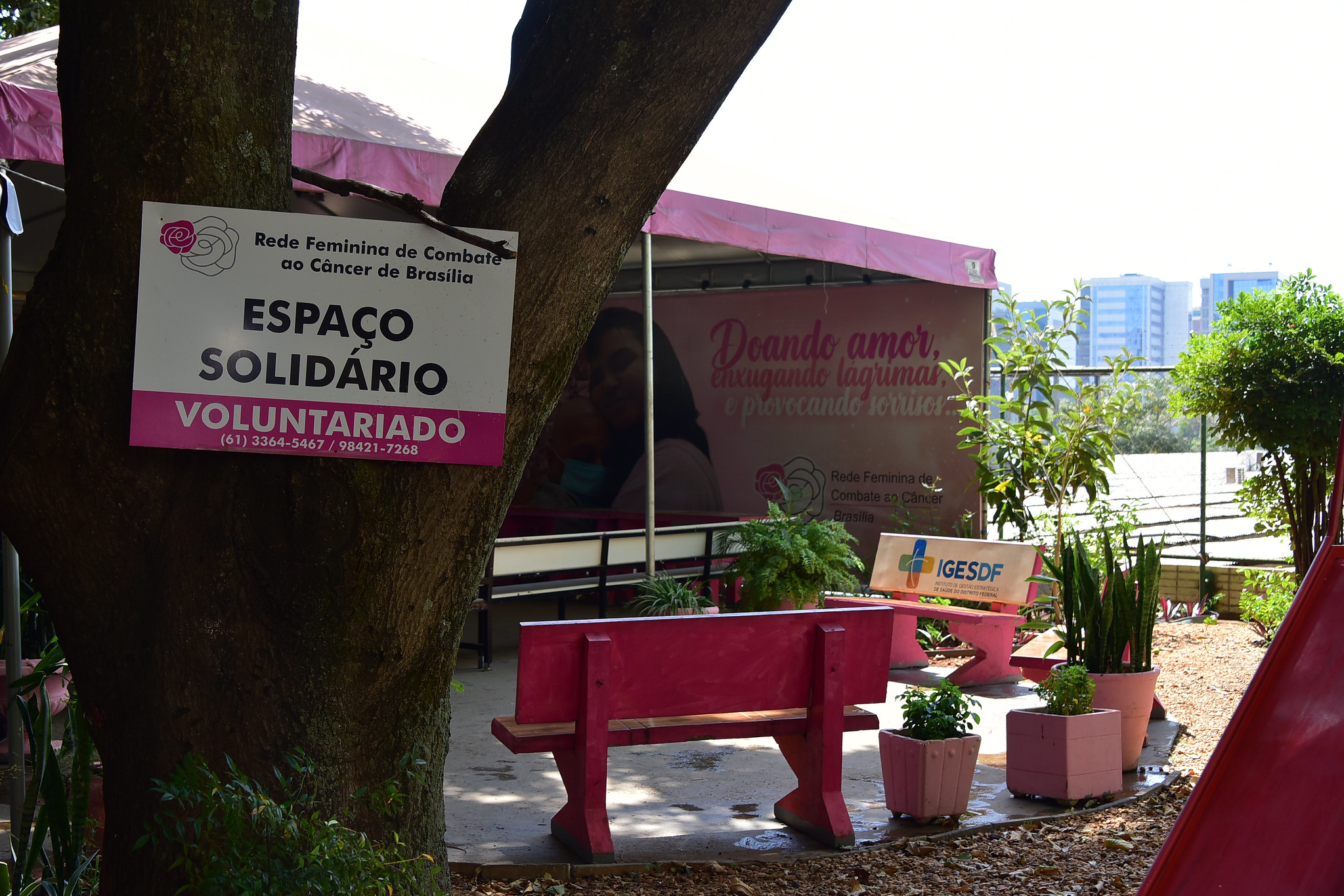 Rede Feminina de Combate ao Câncer de Brasília recebe verba para assistência a pacientes oncológicos