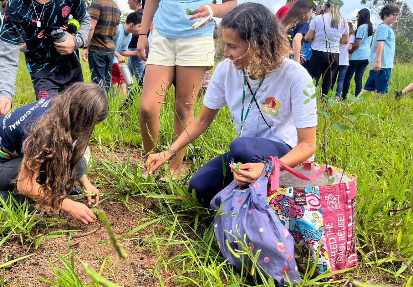 Unidade de conservação recebe bombas de sementes em iniciativa de reflorestamento