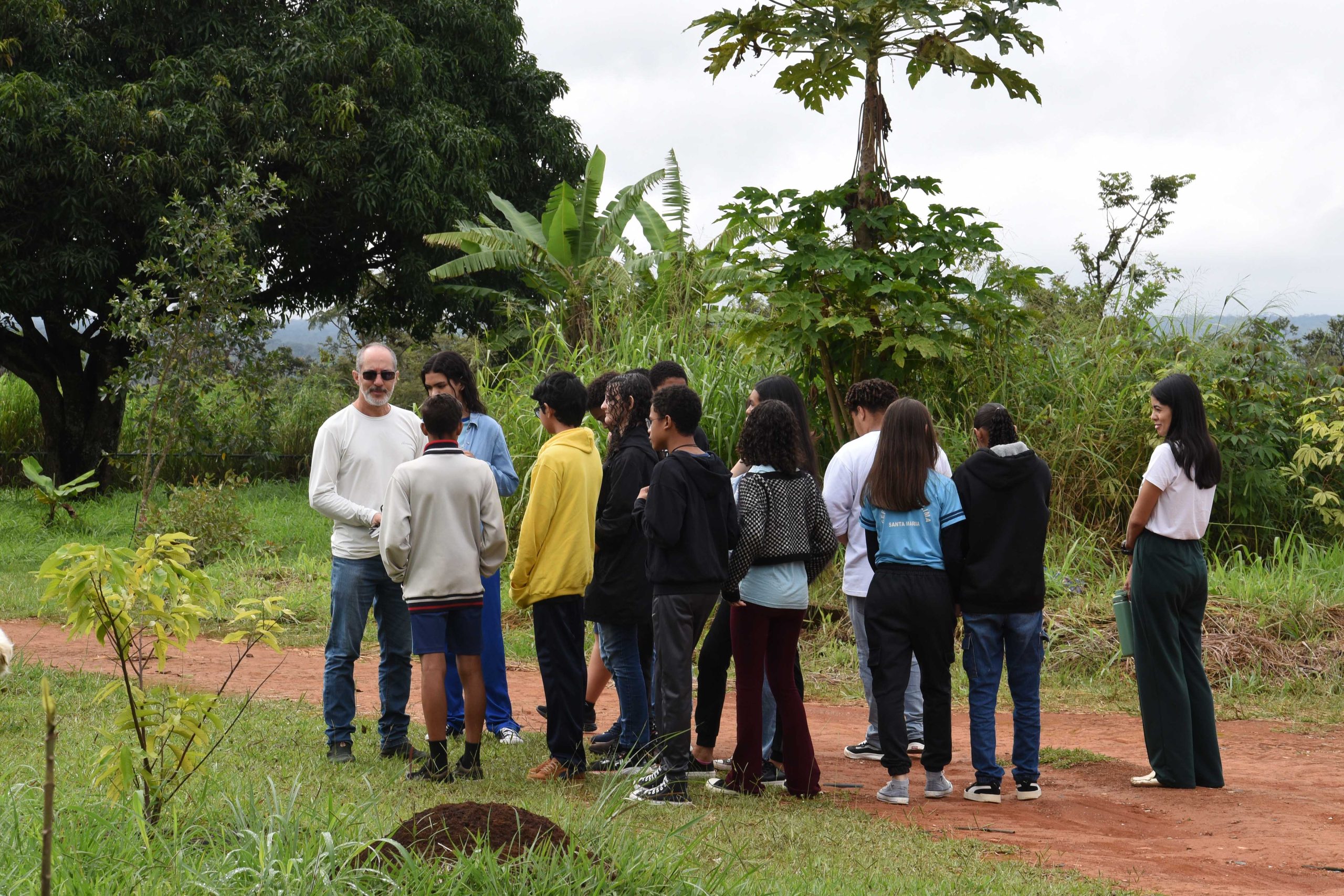 educacao-ambiental-nas-escolas-capa-scaled Abertas 7,5 mil vagas para educadores sociais voluntários para os anos letivos de 2025 e 2026