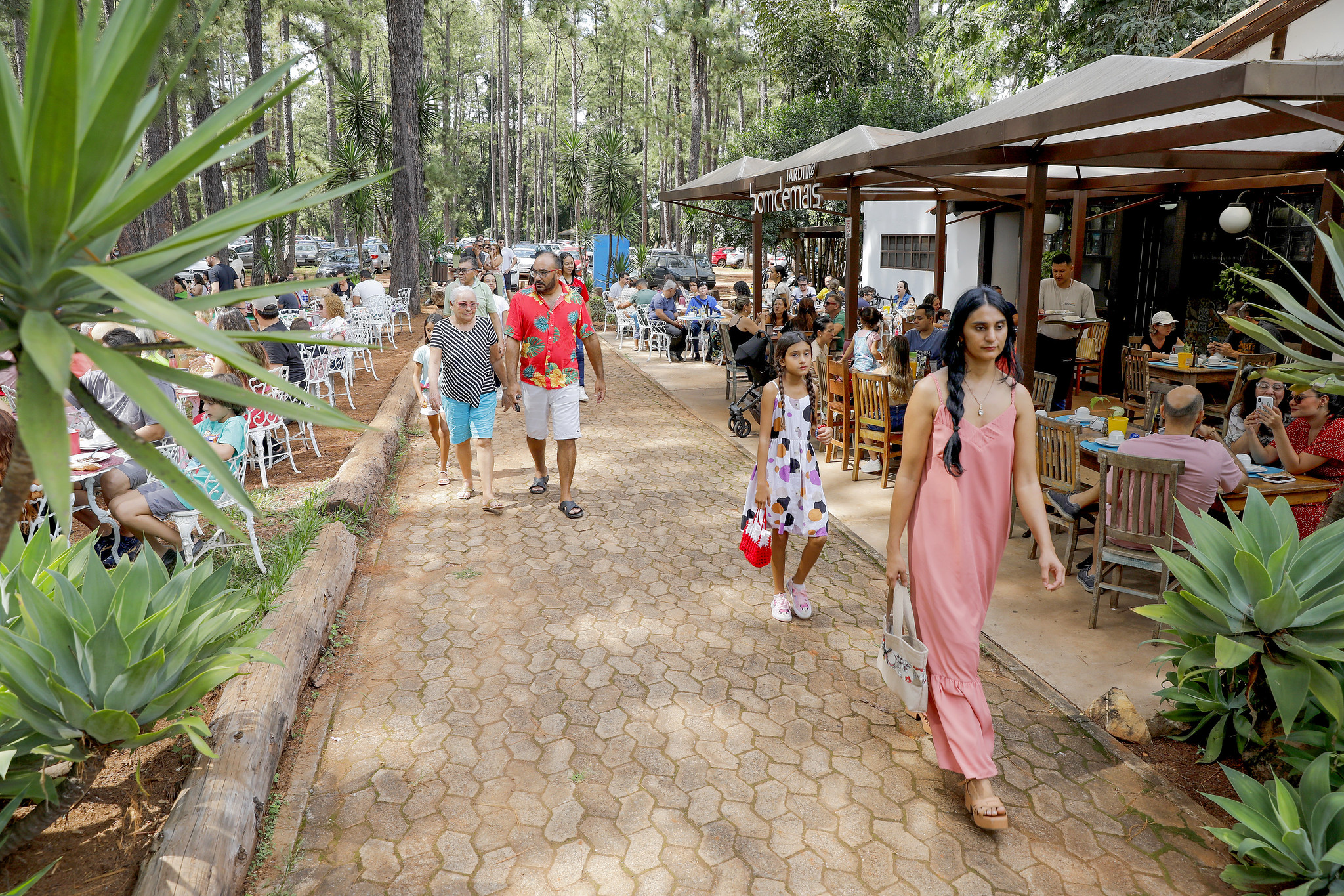 Banho de floresta no Jardim Botânico de Brasília oferece conexão com a natureza e relaxamento mental