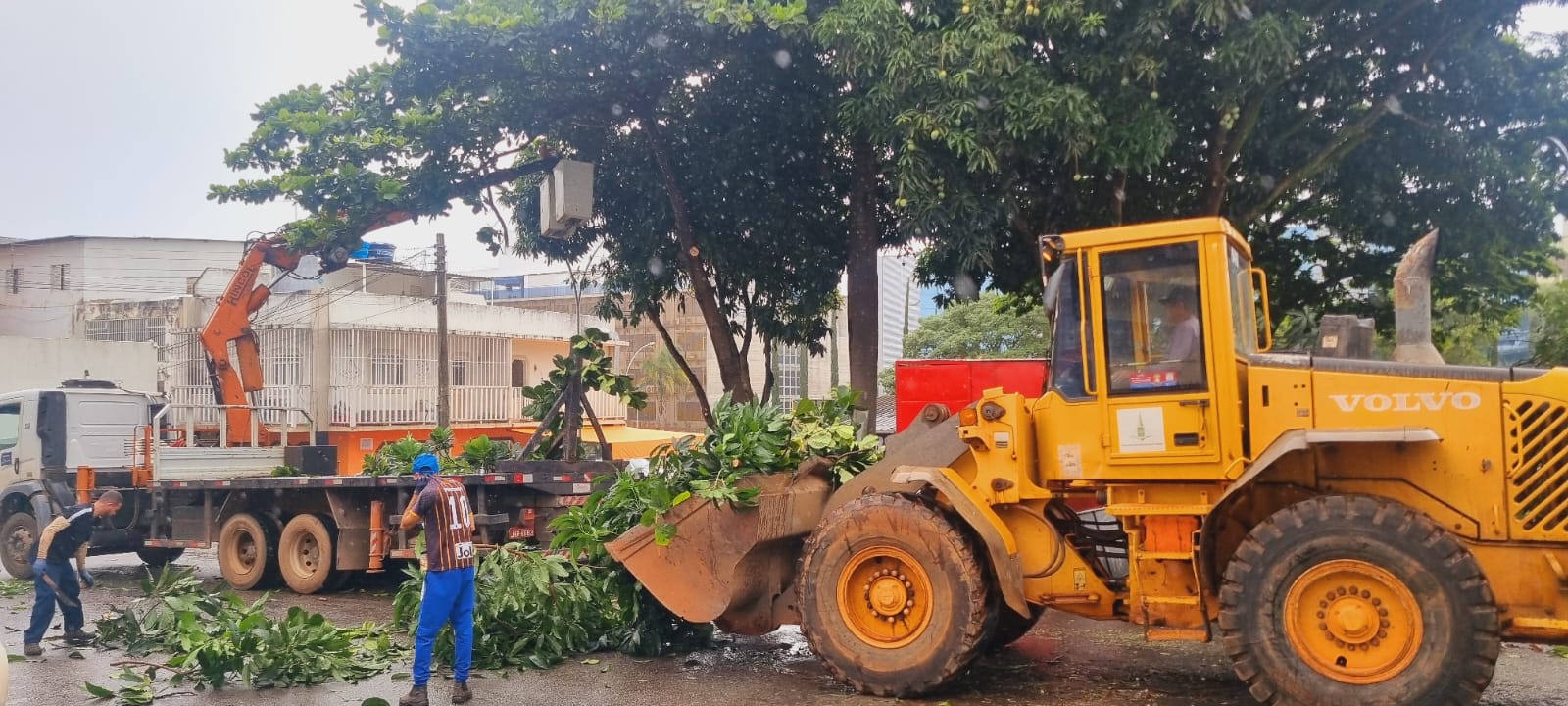 Mutirão retira lixo e entulho de áreas públicas para evitar alagamentos no Plano Piloto