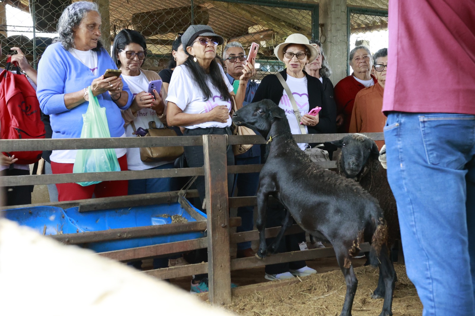 Agricultoras do DF aprendem novas tecnologias em visita à Fazenda Água Limpa