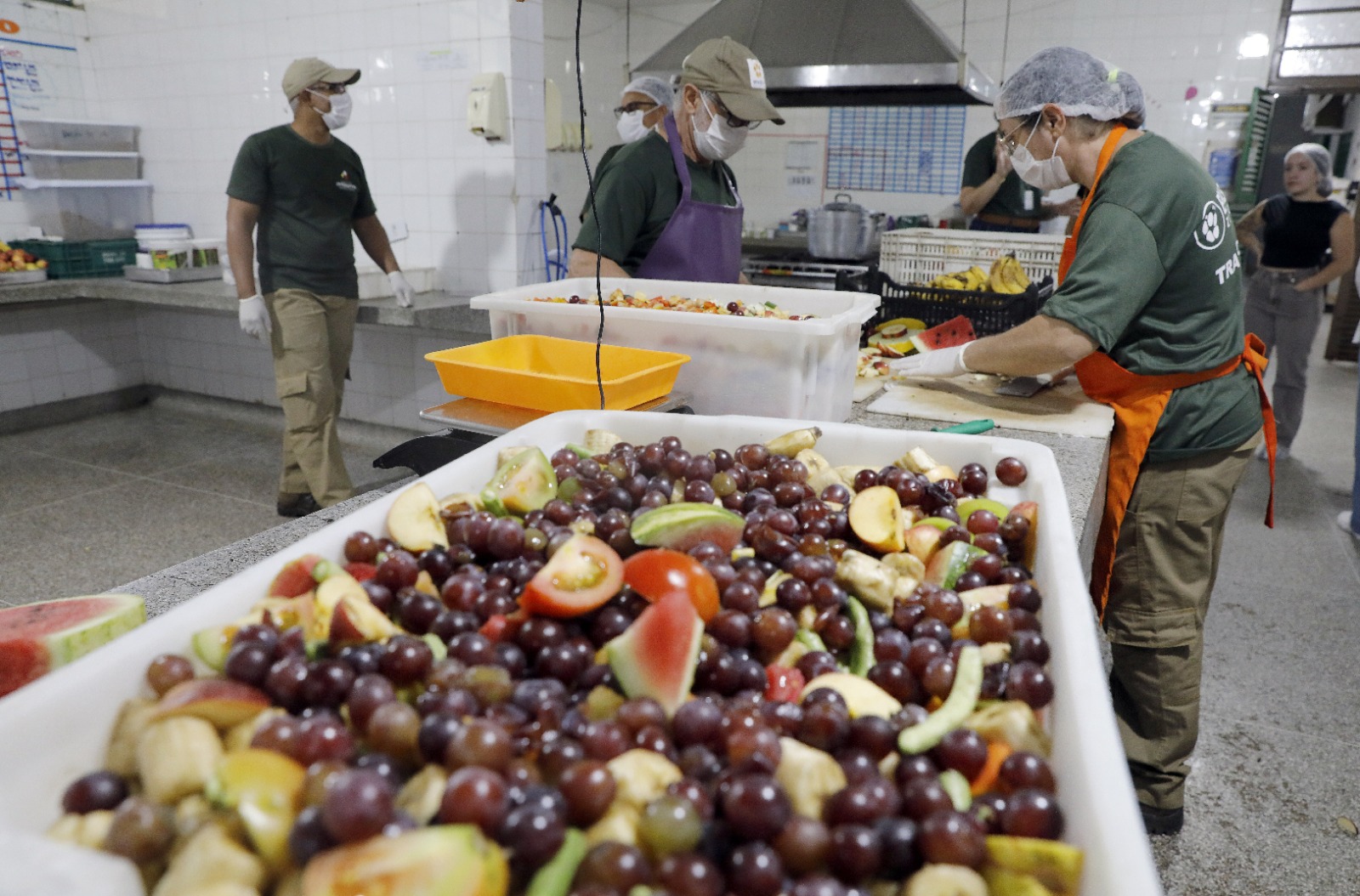 Você sabia? Animais do Zoológico de Brasília têm preferências alimentares e cardápios personalizados